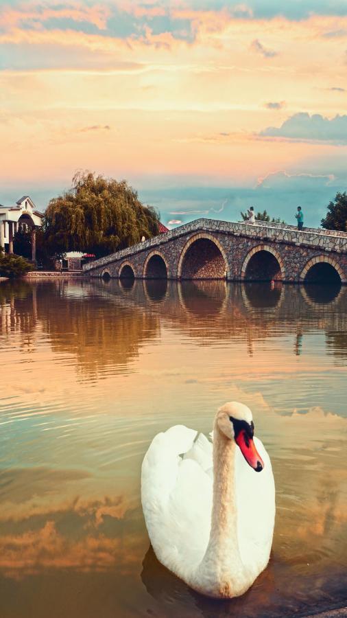 Ethno Village Stanisici Bijeljina Ngoại thất bức ảnh